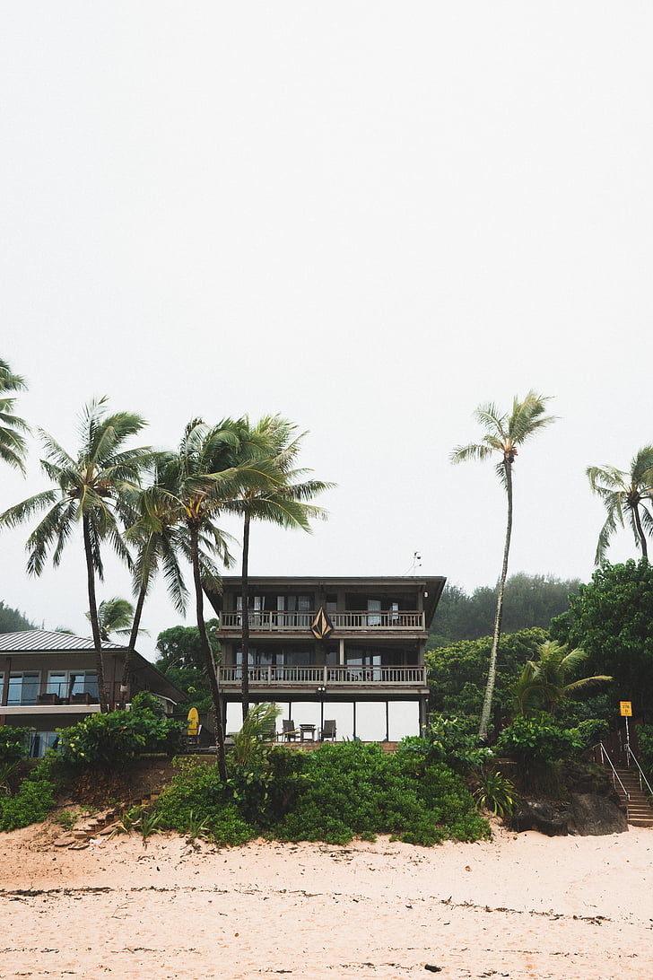 beach, houses, sand, sky, trees, tropical Climate, palm Tree