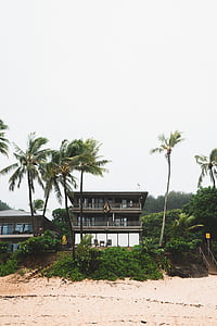 strand, huizen, zand, hemel, bomen, tropisch klimaat, palmboom