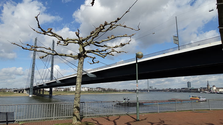 ponte de rhine de Düsseldorf, Rio, azul, paisagem do Rio, ponte, Rheinbrücke, Alemanha