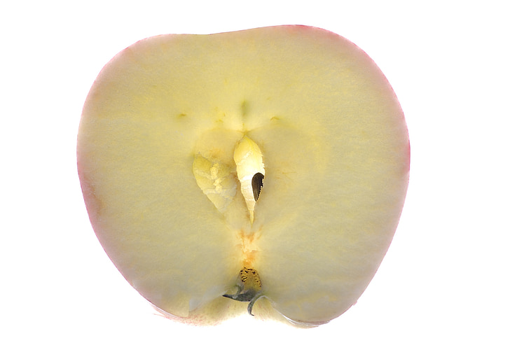 애플, 매크로, 과일, 닫기, kernobstgewaechs