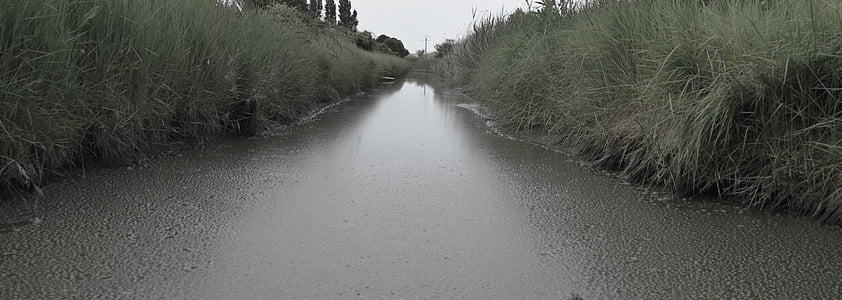 river, reeds, mud, sad, rain, grey, grisaille