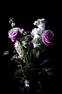 Rosen, Blumen, Blumenstrauß, ROS, Blume, Garten, florale Pracht