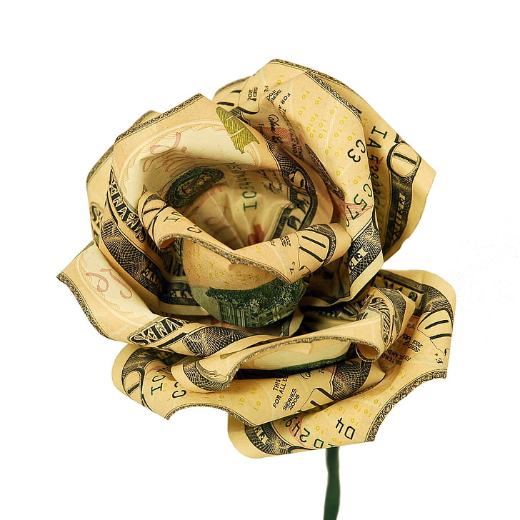 money, flower, rose, cash, gift, dollar, currency