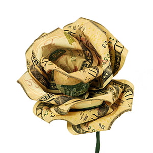 pieniądze, kwiat, Róża, środków pieniężnych, prezent, Dolar, Waluta
