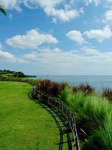 oceano de india sul, Bali, de enrolamento, cerca, ervas daninhas, Costa, mar