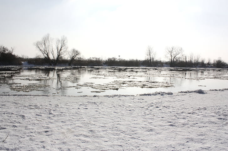 riu, riu congelat, blanc, neu, gel, paisatge, fred