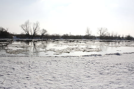 fiume, fiume congelato, bianco, neve, ghiaccio, paesaggio, freddo