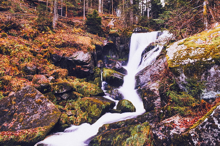 Wasserfall, Stream, Wald, Natur, Durchfluss