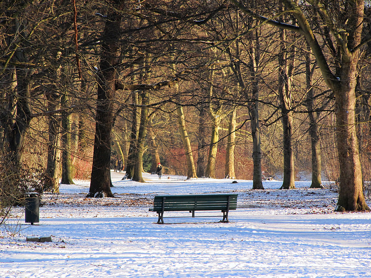 Park, zimowe, Tiergarten, Berlin, Bank, ławce w parku, śnieg