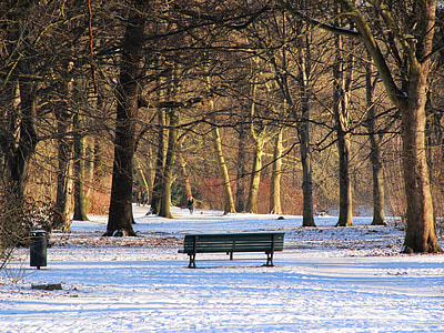 Park, Vinter, Tiergarten, Berlin, Bank, parkbenk, snø