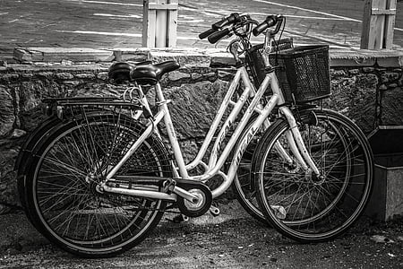 xe đạp, Street, ngoài trời, giá trong giỏ hàng, màu đen và trắng, theo phong cách retro, kiểu cũ