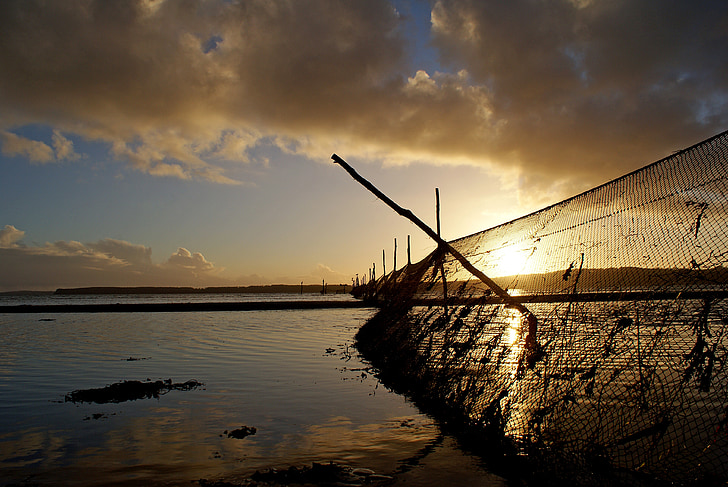 fishing nets, beach, fishing-net, sunset, nature, sea, sun