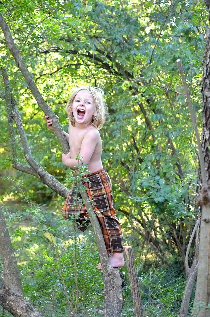 penjanje, dijete, drvo, priroda, na otvorenom, vrt, dijete
