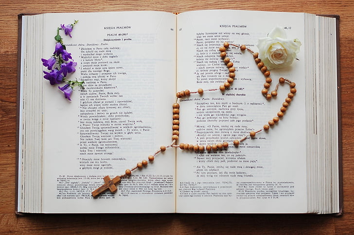 grāmatas, Bībele, Svētos rakstus, lūgšana, ziedi, slējās, balta roze