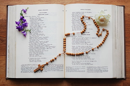 livre, Bible, les écritures, prière, fleurs, Rose, rose blanche
