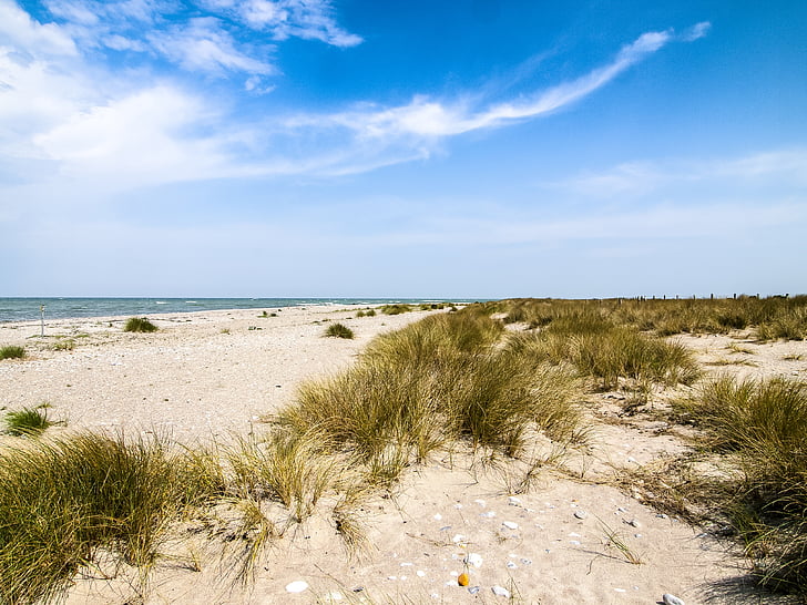paysage, nature, mer Baltique, plage, mer, sable, littoral
