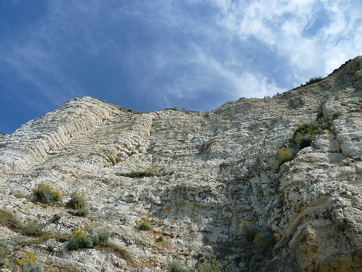 skały kredowe, Etretat, Natura