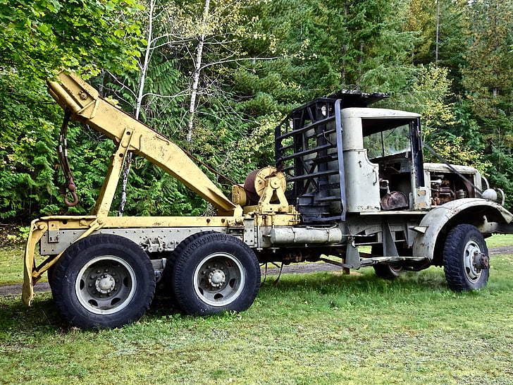 Logg truck, transport, trailer, tre, kjøretøy, logging, utstyr