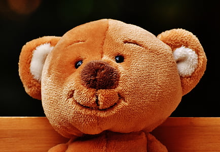 teddy, bank, sit, bear, fun, plush, funny