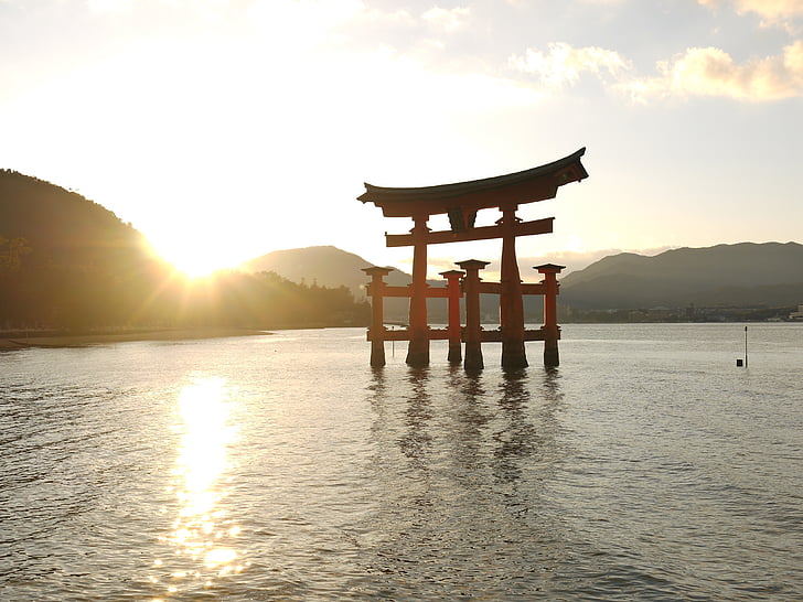 red, black, torii, gate, body, water, golden