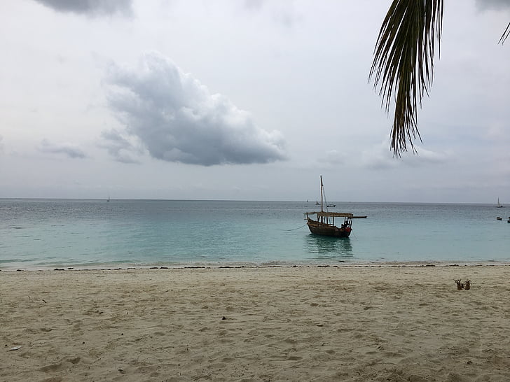 Zanzibar, oceana, Afrika