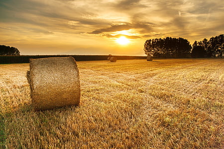 hay, field, agriculture, sunset, landscape, scenic, colorful