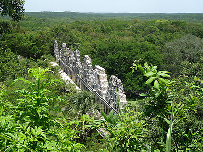 Mexiko, Yucatan, Maya, zrúcaniny, Dažďový prales