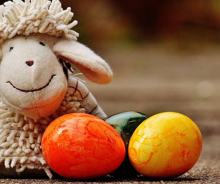 pecore, uovo, colorato, primavera, Pasqua, decorato, Figura