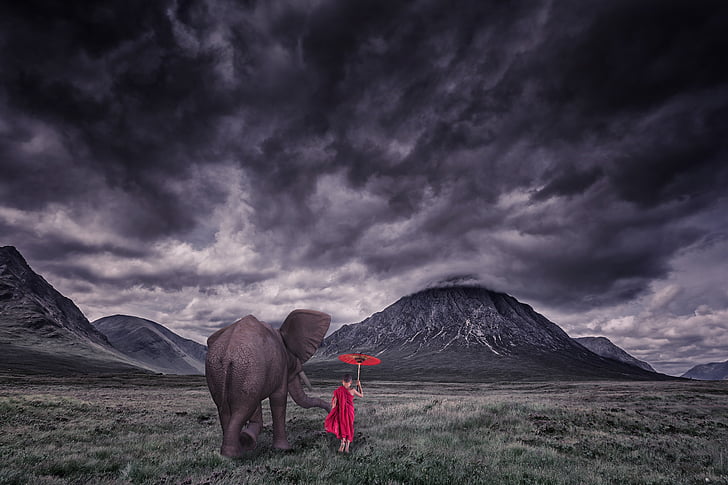 elephant, child, monk, landscape, go, further away, friendship