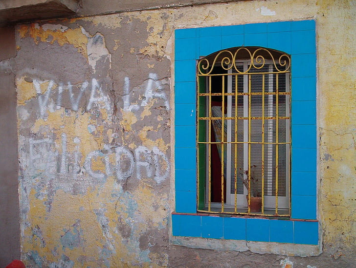 finestra, flors, blau, reixes de finestra