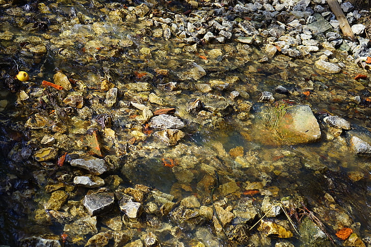 Bach, Creek, vody, kameny, toku, voda, idylické