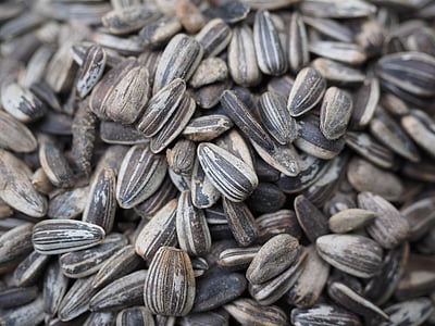 sunflower seeds, bird seed, seeds, food, seed, close-up, backgrounds