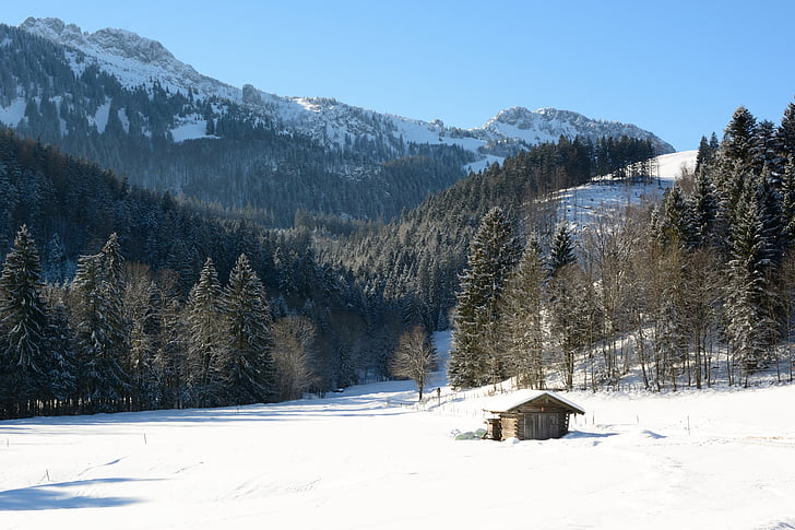 maastik, Bavaria, talvel, loodus, metsa, mäed, Ülem-Baieri
