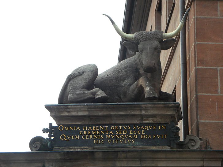 Nürnberg, húspiac, ökör, emlékmű, szobrászat, szobor, Latin