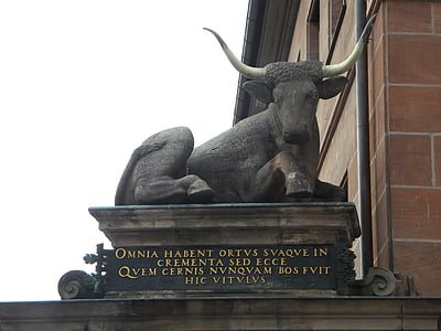 Nürnberg, Fleischmarkt, Ochse, Denkmal, Skulptur, Statue, Latein