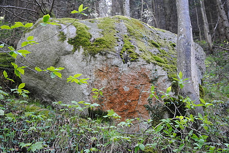 steen, bos, natuur, Moss, groen, Stille, Rock