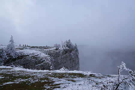 туман, Зима, дерево, пейзаж, Природа, снег, cruix дю Ван