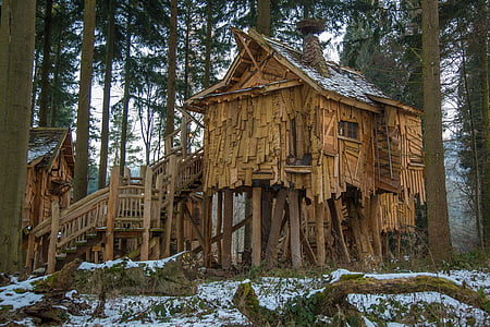vacation, treehouse, tree hut, live, apartment, tripsdrill, forest