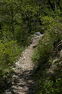 Gil, Hotelli Mountain trail, jälgimine