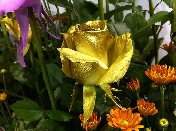 blommor, ökade, guld, Gold rose