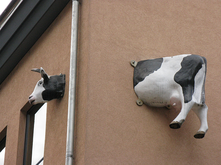 mucca, facciata della casa, Home front, hausdeko, Deco