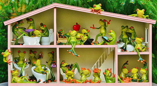 frogs, funny, home, residents, shared apartment, live, cute
