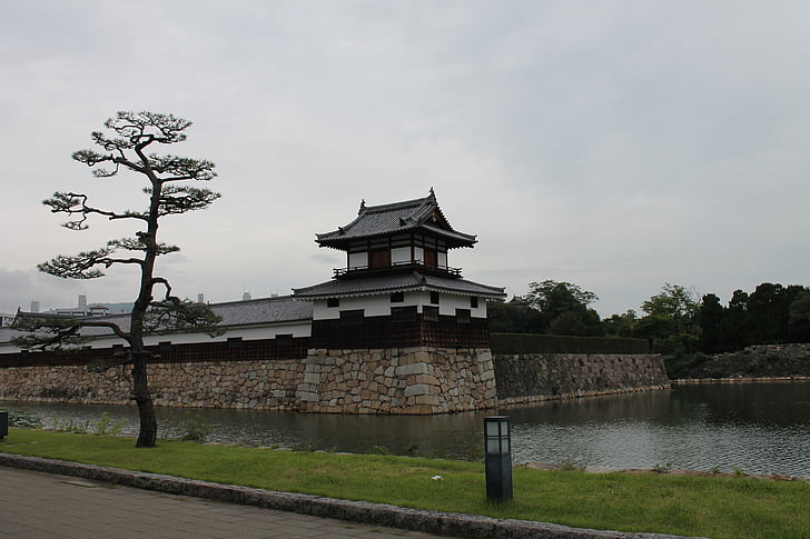 Gate house, Zamek, drzewo, Japoński, stary, budynek, ściana