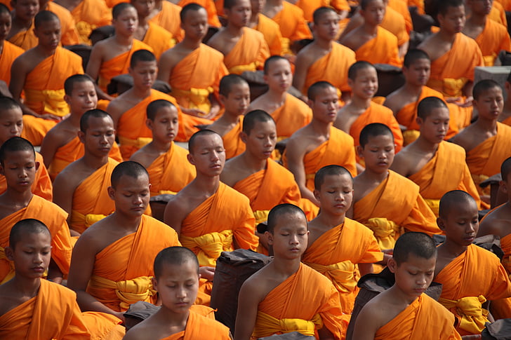 Thailand, Buddha, biarawan, dan, pemula, bermeditasi, Buddhisme