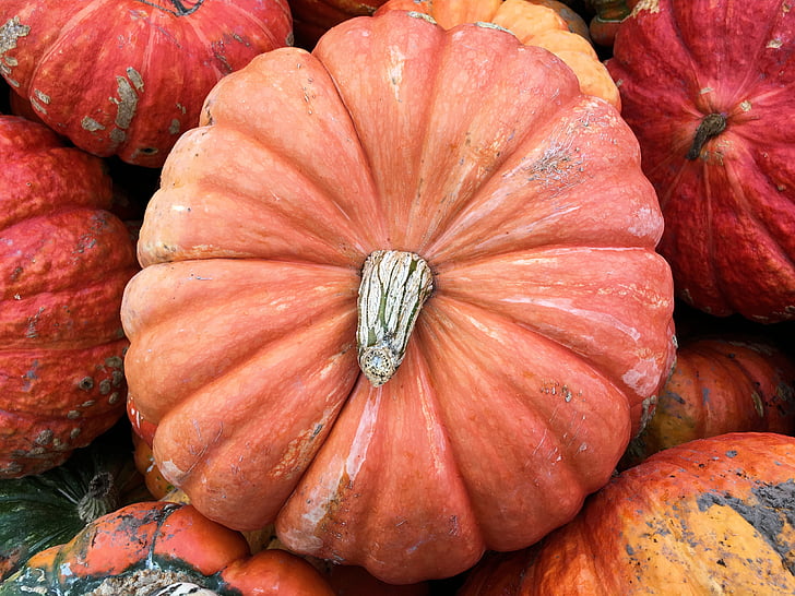 Dekoratívne, tekvica, úroda, jeseň, jeseň, Halloween, Orange