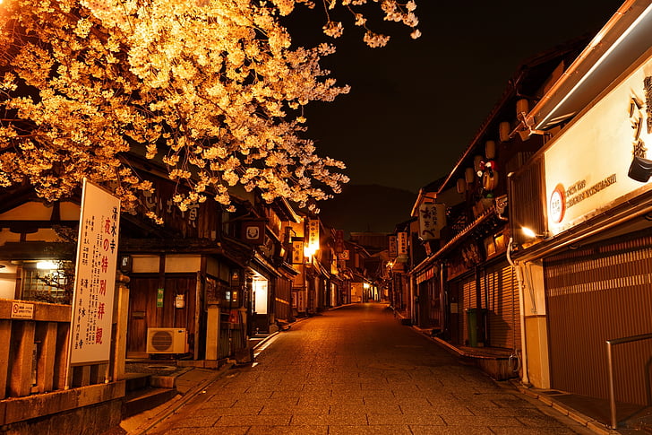 rue, Japon, ville, asiatique, voyage, scène, nuit