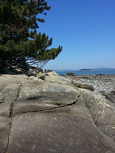 zee, landschap, hemel, hout, Pine, rotsachtig strand, Rock