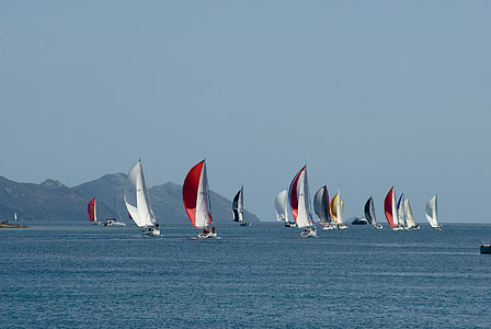 regatta, sailing, boat race, sailing boat, sails, ocean, boats