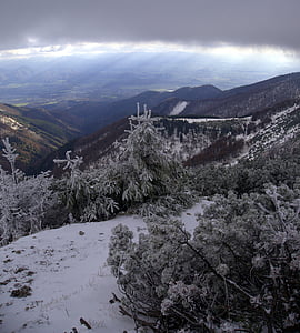 Σλοβακία, Fatra, ενώ, το φθινόπωρο, χώρα, βουνά, χιόνι, σύννεφα