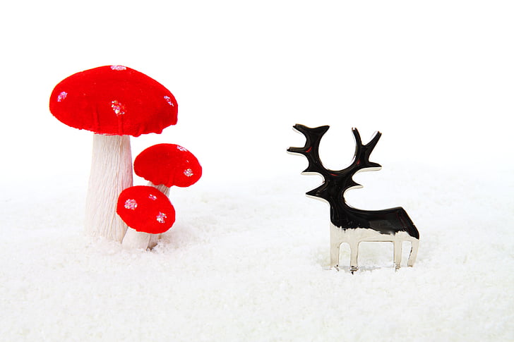 metal, mushroom, celebration, christmas, decoration, holiday, isolated